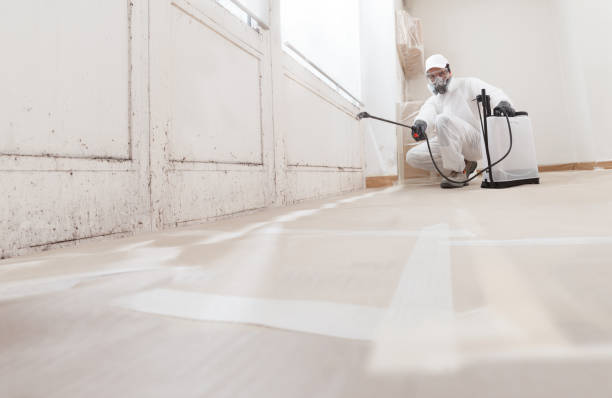 24/7 Emergency Attic Mold Remediation experts in Palisades Park, NJ